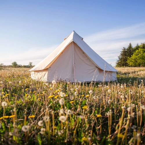 Glamping hos Holmely